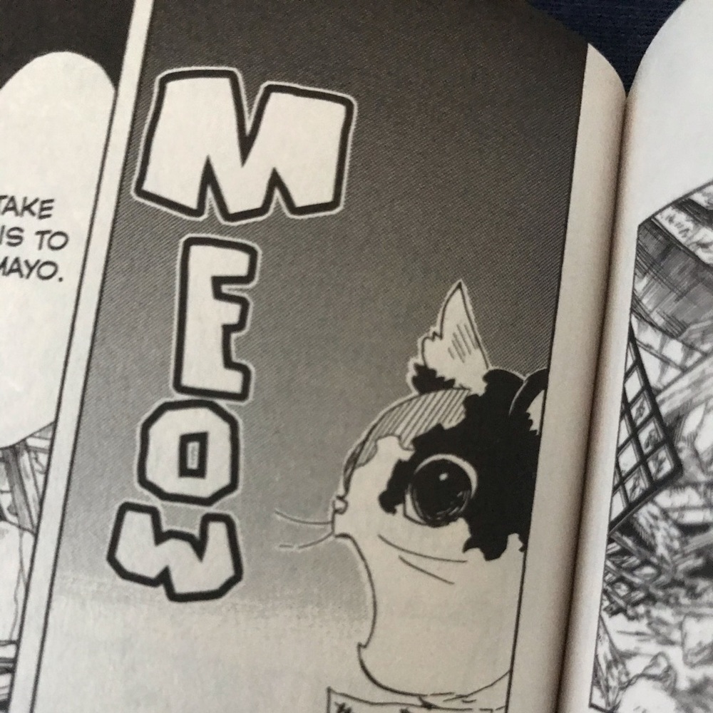 Meet your Posher, Cristian